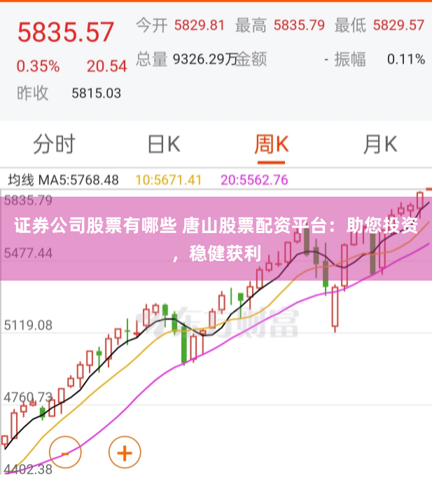 证券公司股票有哪些 唐山股票配资平台：助您投资，稳健获利