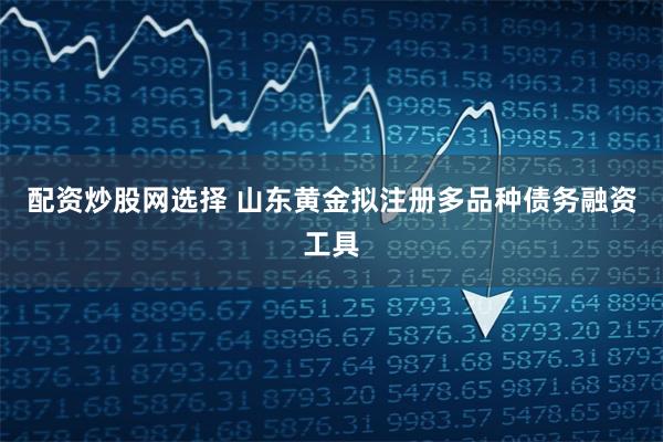 配资炒股网选择 山东黄金拟注册多品种债务融资工具