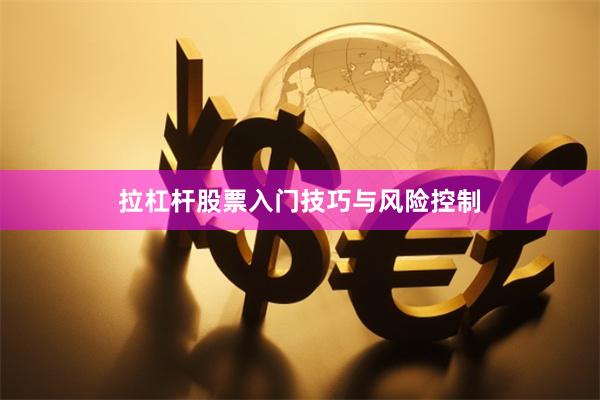 拉杠杆股票入门技巧与风险控制